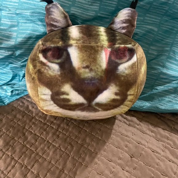 Roblox raise a Floppa cat . - Picture 5 of 11